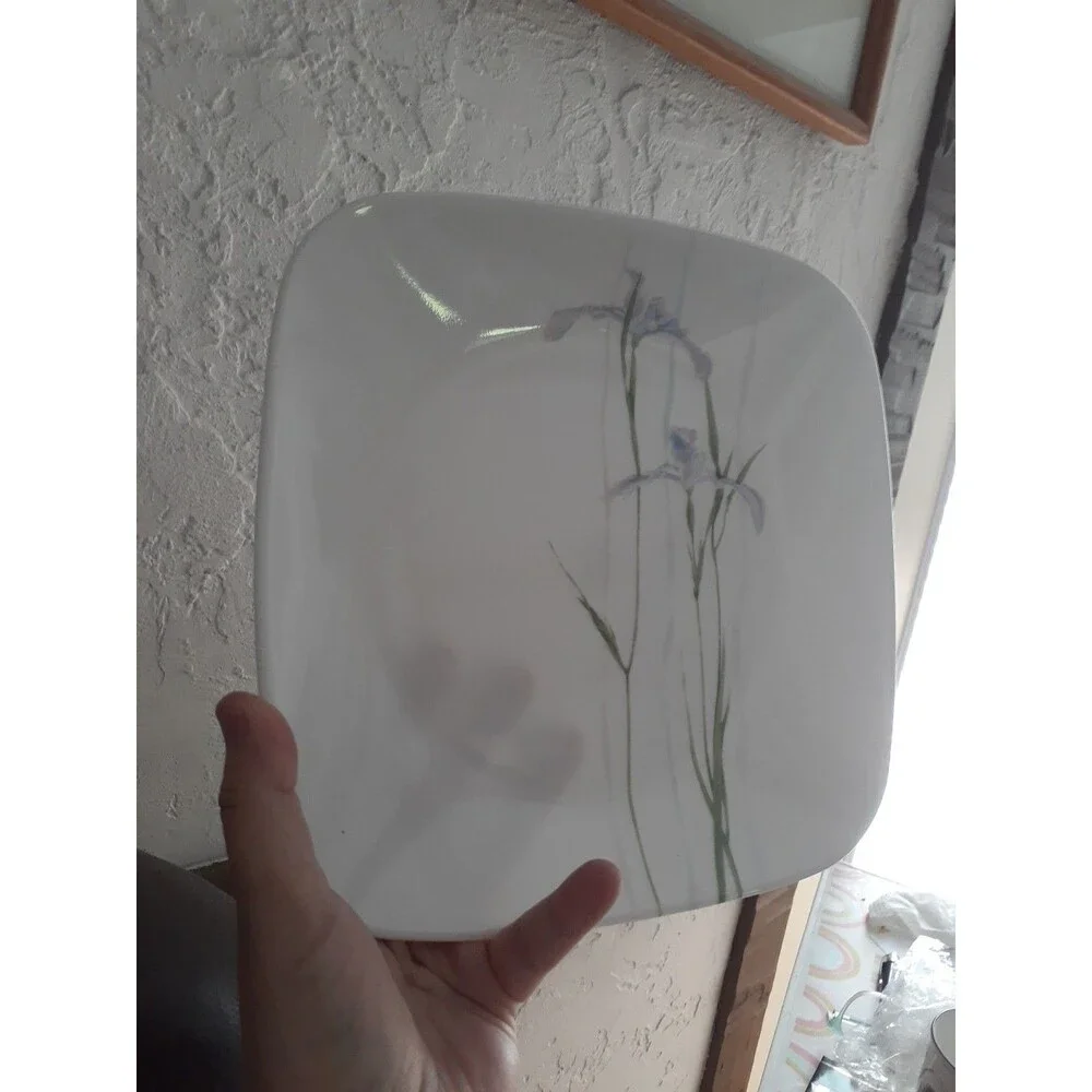 Corelle Shadow Iris 9